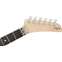 EVH Limited Edition 5150 Deluxe Ash Ebony Fingerboard Natural Front View