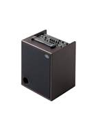 Schertler DAVID-X-W 120W Acoustic Amp