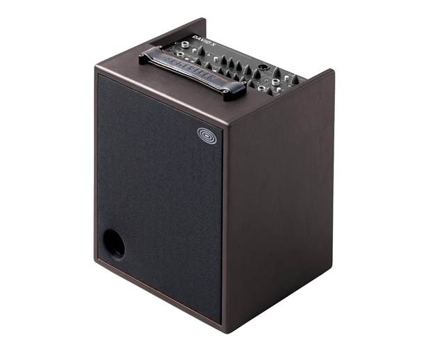 Schertler DAVID-X-W 120W Acoustic Amp