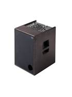 Schertler ROY-X-W 450W Acoustic Amp