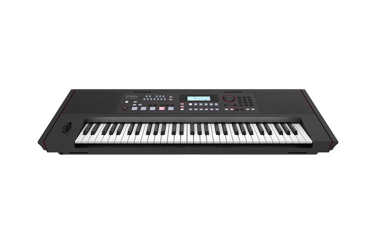 Roland E-X50 Entertainment Keyboard Roland E-X50 Entertainment Keyboard