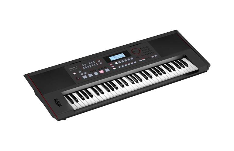 Roland E-X50 Entertainment Keyboard Roland E-X50 Entertainment Keyboard