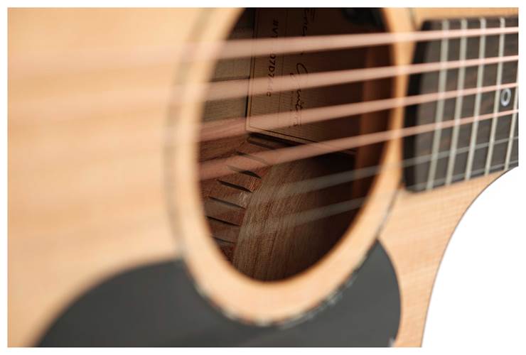 Fenech VT Dreadnought Cutaway AA Spruce/Camphor Laurel Fenech VT Dreadnought Cutaway AA Spruce/Camphor Laurel