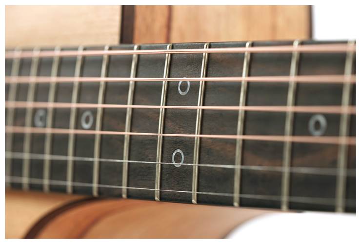 Fenech VT Dreadnought Cutaway AA Spruce/Camphor Laurel Fenech VT Dreadnought Cutaway AA Spruce/Camphor Laurel