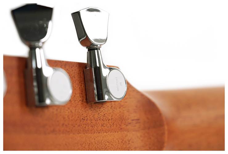 Fenech VT Dreadnought Cutaway AA Spruce/Camphor Laurel Fenech VT Dreadnought Cutaway AA Spruce/Camphor Laurel