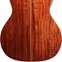 Washburn G55CE KOA Electro Acoustic with Bevel