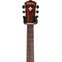 Washburn G55CE KOA Electro Acoustic with Bevel