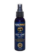 MusicNomad All Purpose Key ONE - For Keyboards, Piano Keys & Matte Finishes