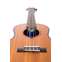 MusicNomad The Humilele-Ukulele Humidifier Front View