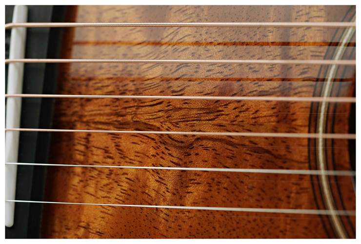 Taylor K22e 12 Fret Grand Concert #1207222186 Taylor K22e 12 Fret Grand Concert #1207222186