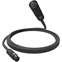 D'Addario American Stage Series Microphone Cable, XLR Male to XLR Female, 10 feet Front View