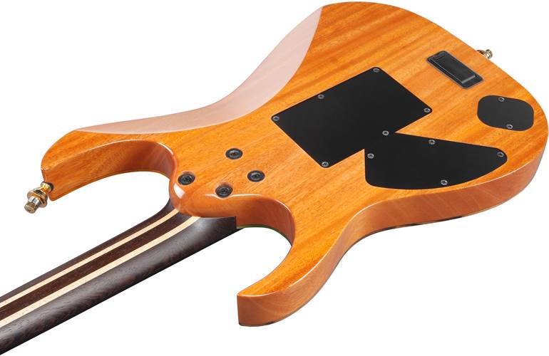 Ibanez J Custom JCRG22S01 Figured Japanese Persimmon & Green Resin Ibanez J Custom JCRG22S01 Figured Japanese Persimmon & Green Resin