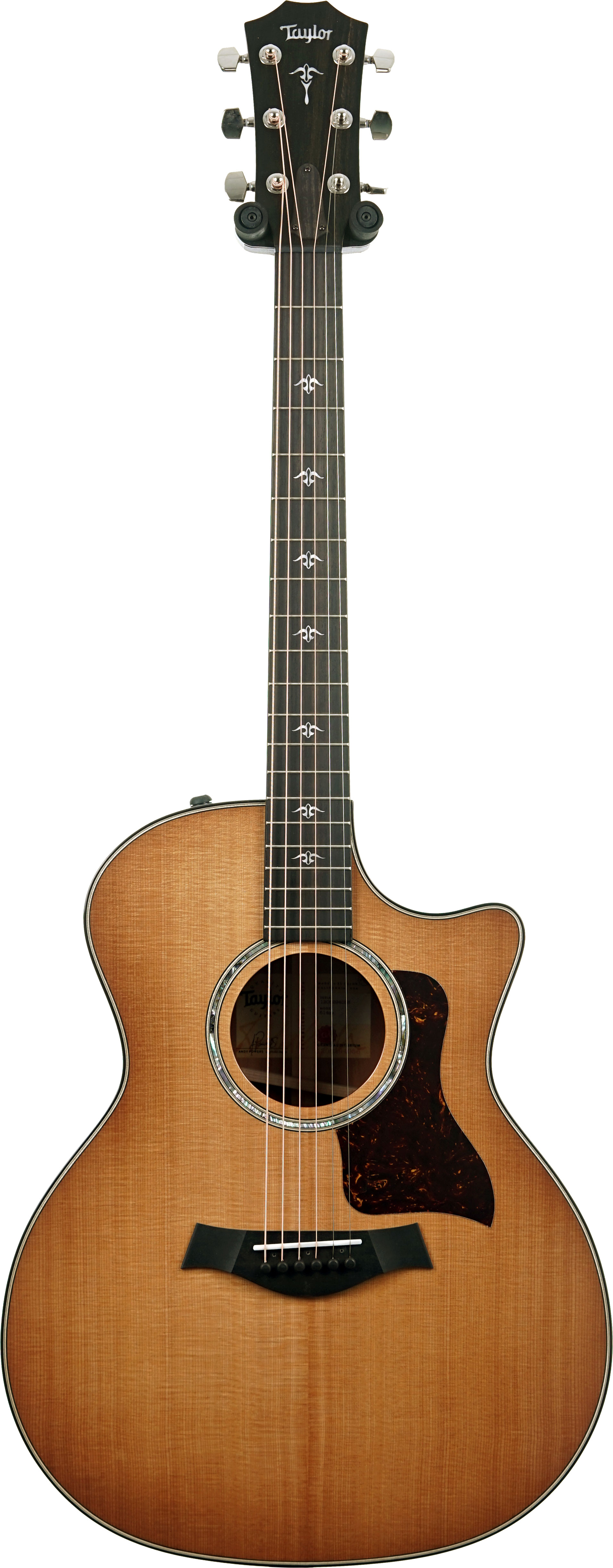 Taylor 514ce Grand Auditorium Torrefied Sitka Spruce/Urban Ironbark #1208294056