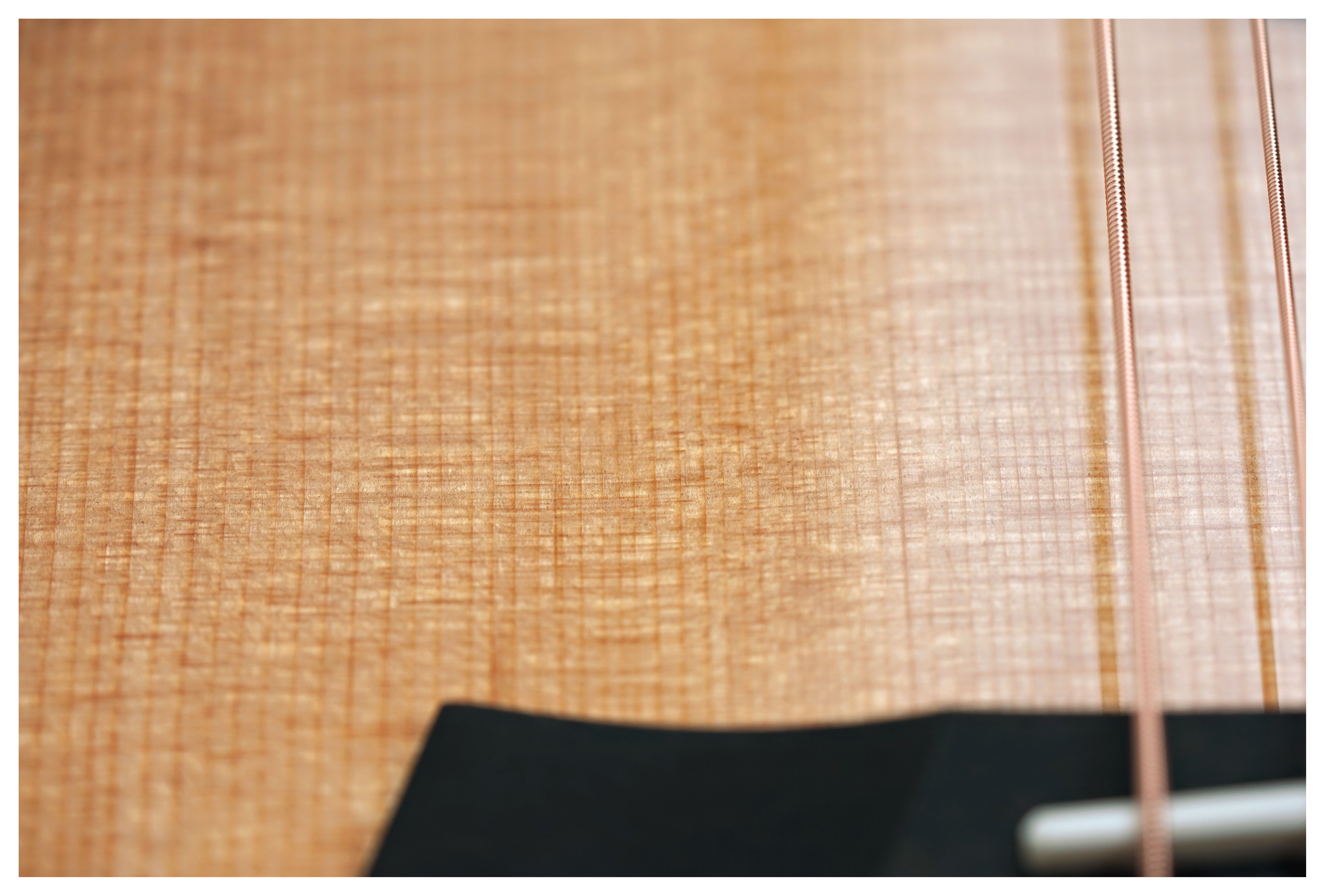 Taylor 514ce Grand Auditorium Torrefied Sitka Spruce/Urban Ironbark #1208294056