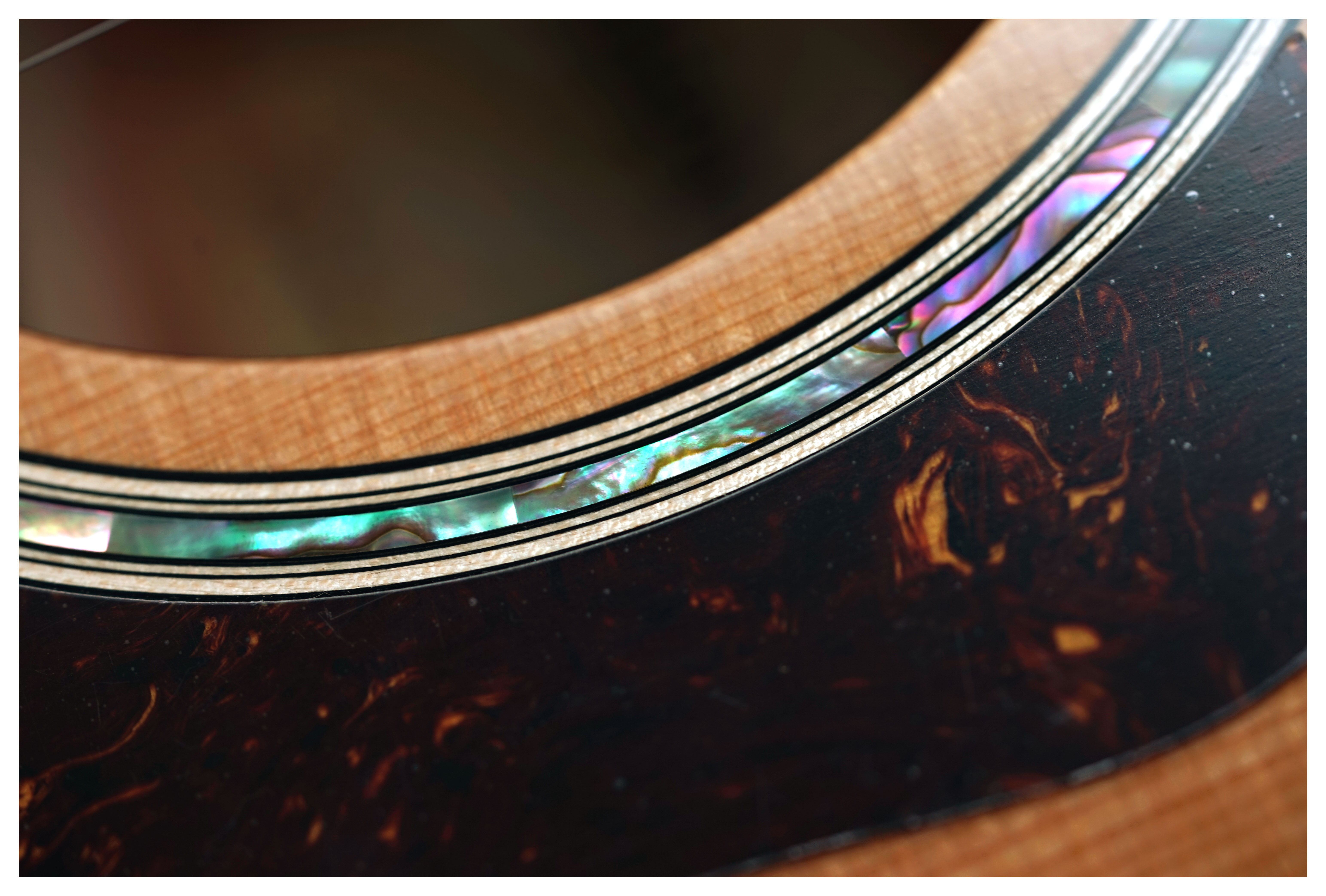 Taylor 514ce Grand Auditorium Torrefied Sitka Spruce/Urban Ironbark #1208294056