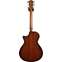 Taylor 512ce Grand Concert Torrefied Sitka Spruce / Urban Ironbark (Ex-Demo) #1208232046 Back View