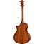 Taylor 512ce  Grand Concert Torrefied Sitka Spruce/Urban Ironbark Back View