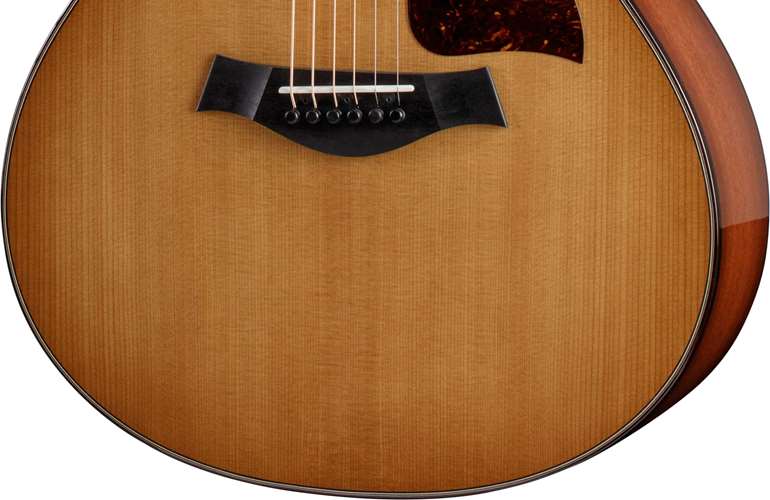 Taylor 512ce Grand Concert Torrefied Sitka Spruce/Urban Ironbark Taylor 512ce Grand Concert Torrefied Sitka Spruce/Urban Ironbark