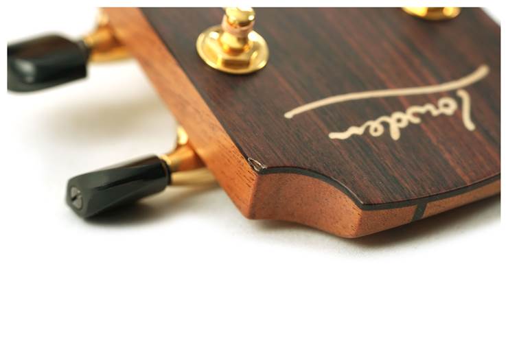 Lowden Batch 45 F-38 Indian Rosewood/Lutz (Nearly New) #25859 Lowden Batch 45 F-38 Indian Rosewood/Lutz (Nearly New) #25859