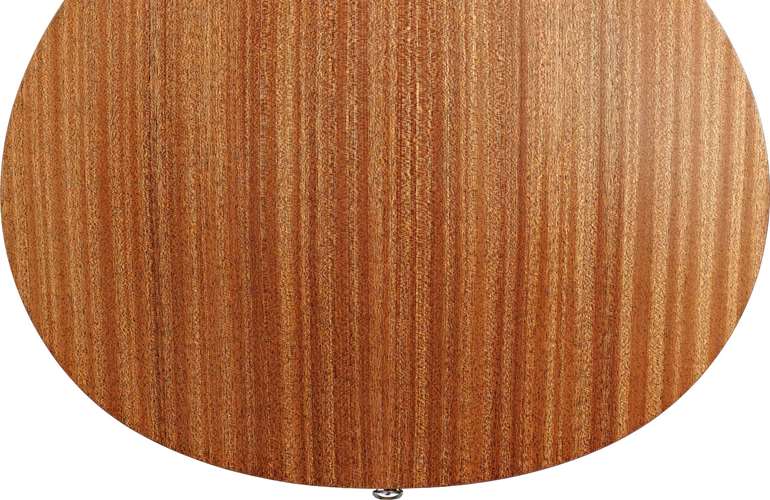 Taylor GS Mini-e Mahogany Taylor GS Mini-e Mahogany