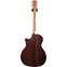 Taylor Limited Edition 414ce Redwood Grand Auditorium #1206162129 Back View