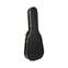 Hiscox CL-B/S Standard Classical Guitar Case Black/Silver Front View