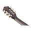 Ibanez TOD10N Tim Henson Tree Of Death Transparent Black Flat Front View