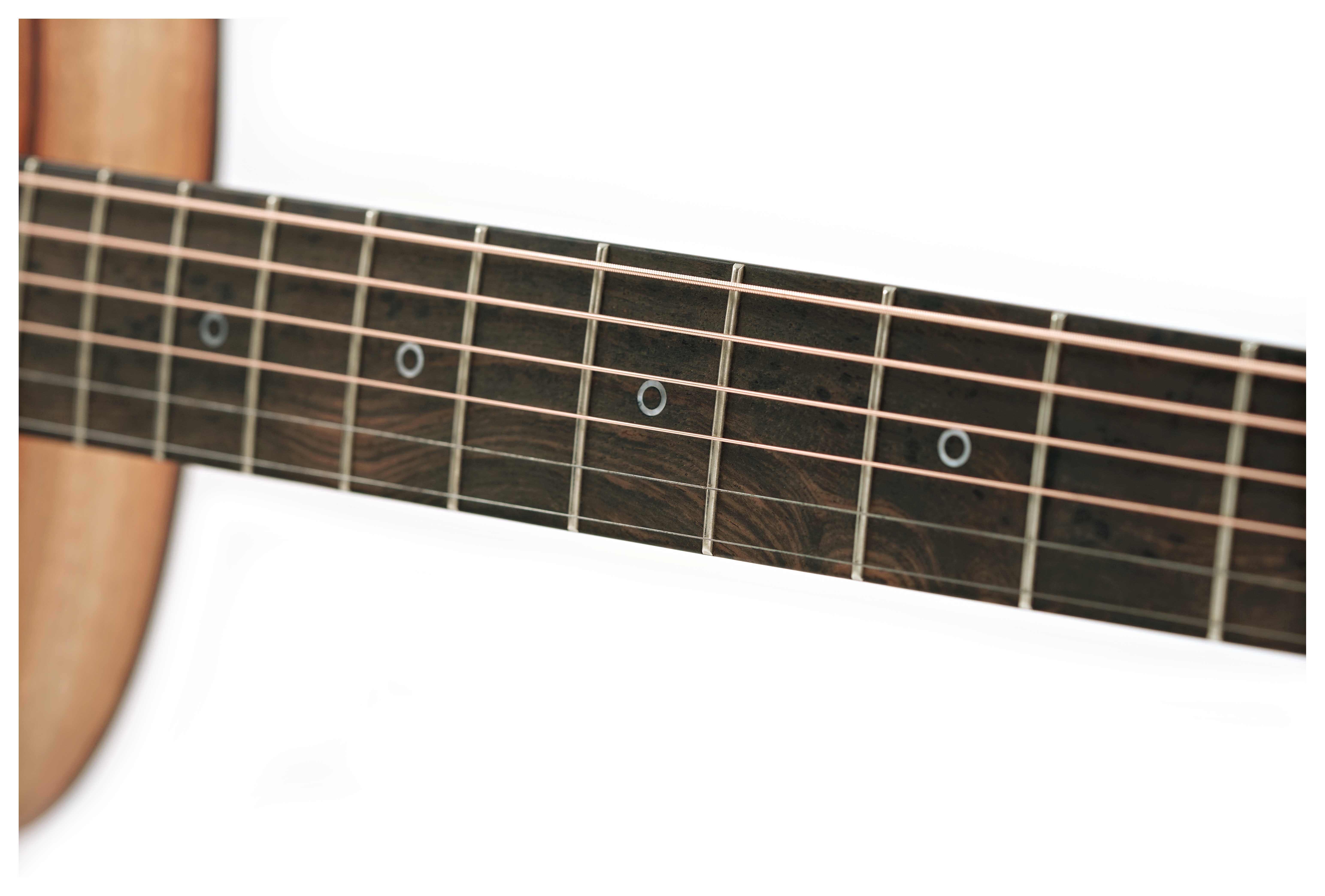 Fenech VT Auditorium AA Spruce/Camphor Laurel