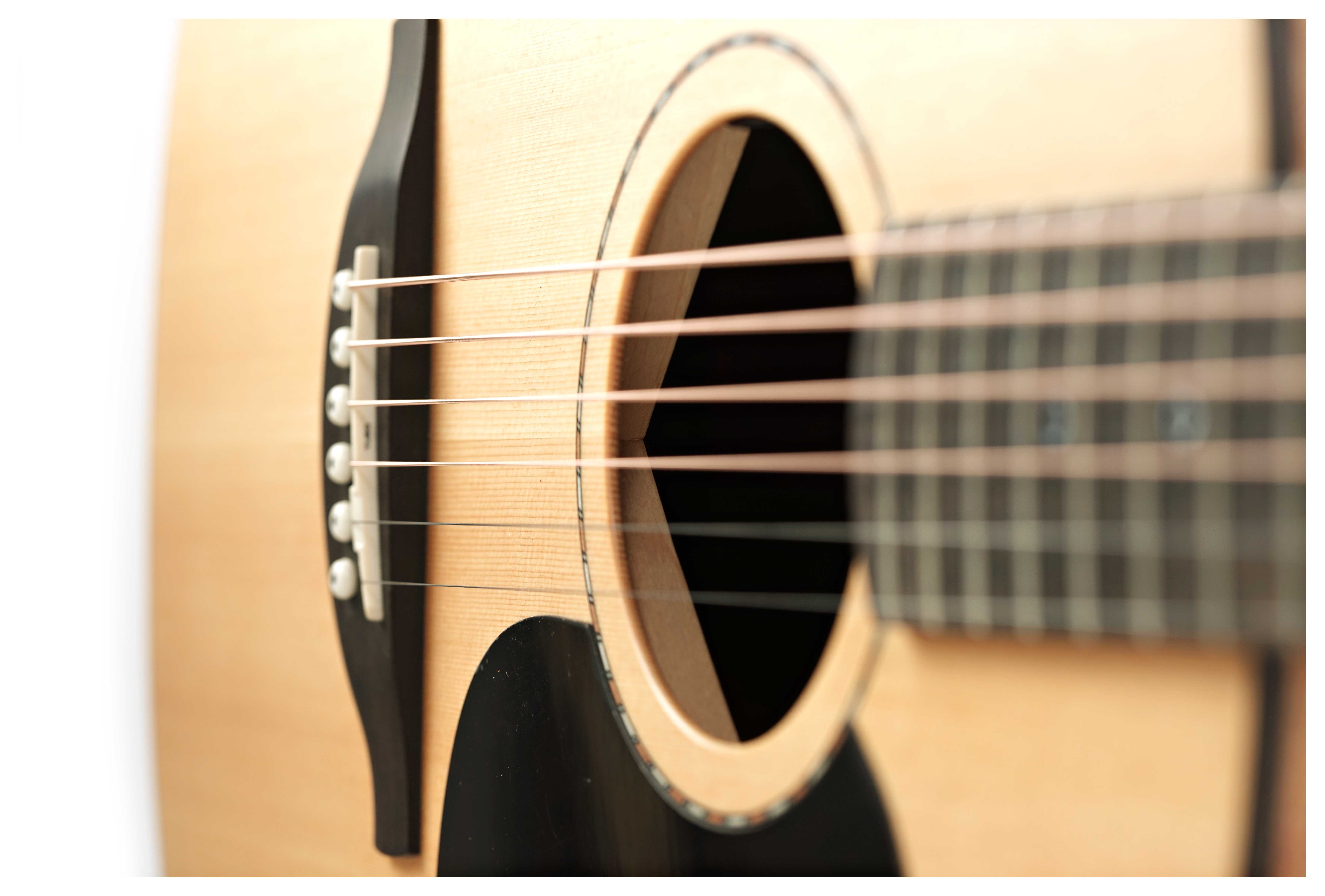 Fenech VT Auditorium AA Spruce/Camphor Laurel