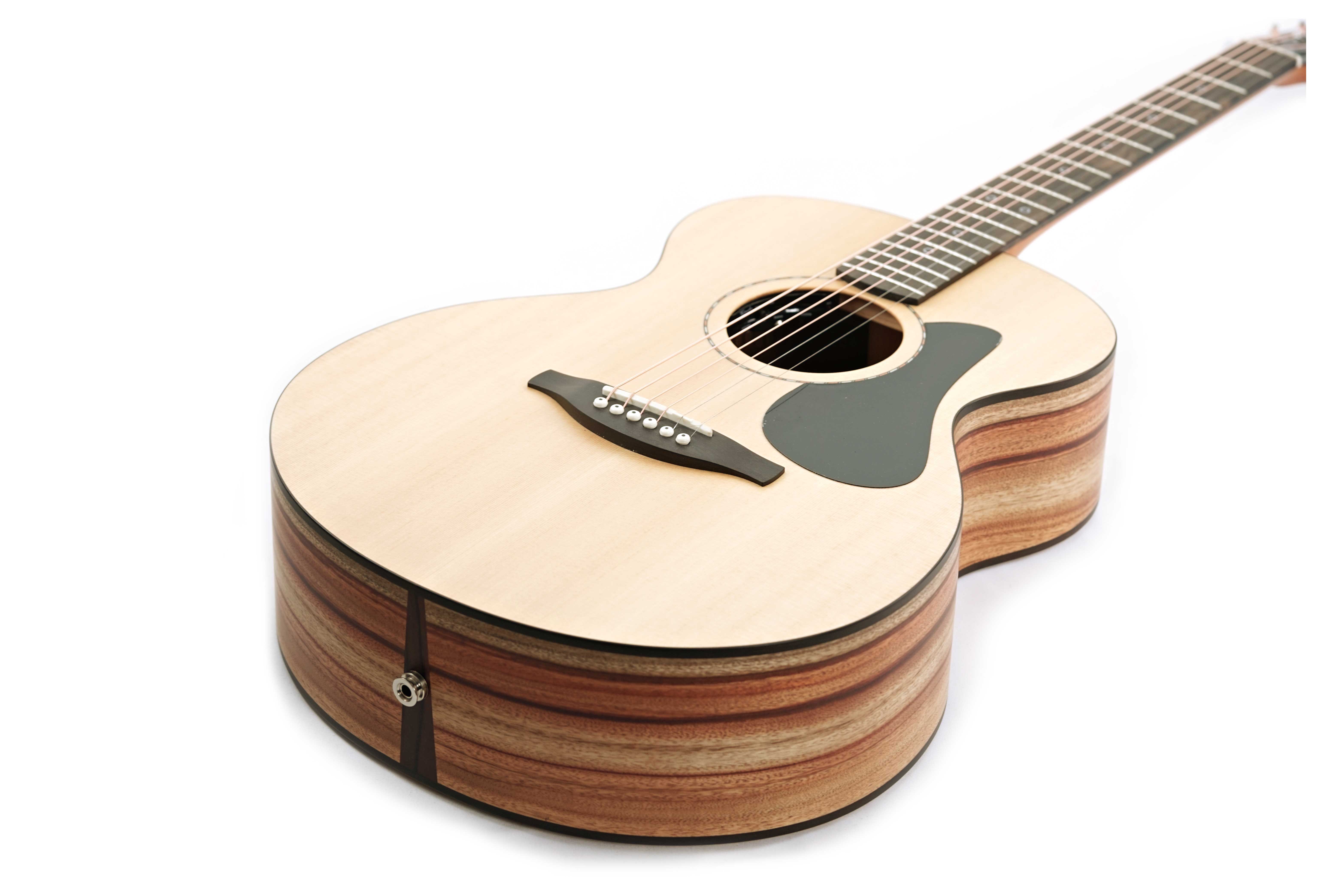 Fenech VT Auditorium AA Spruce/Camphor Laurel