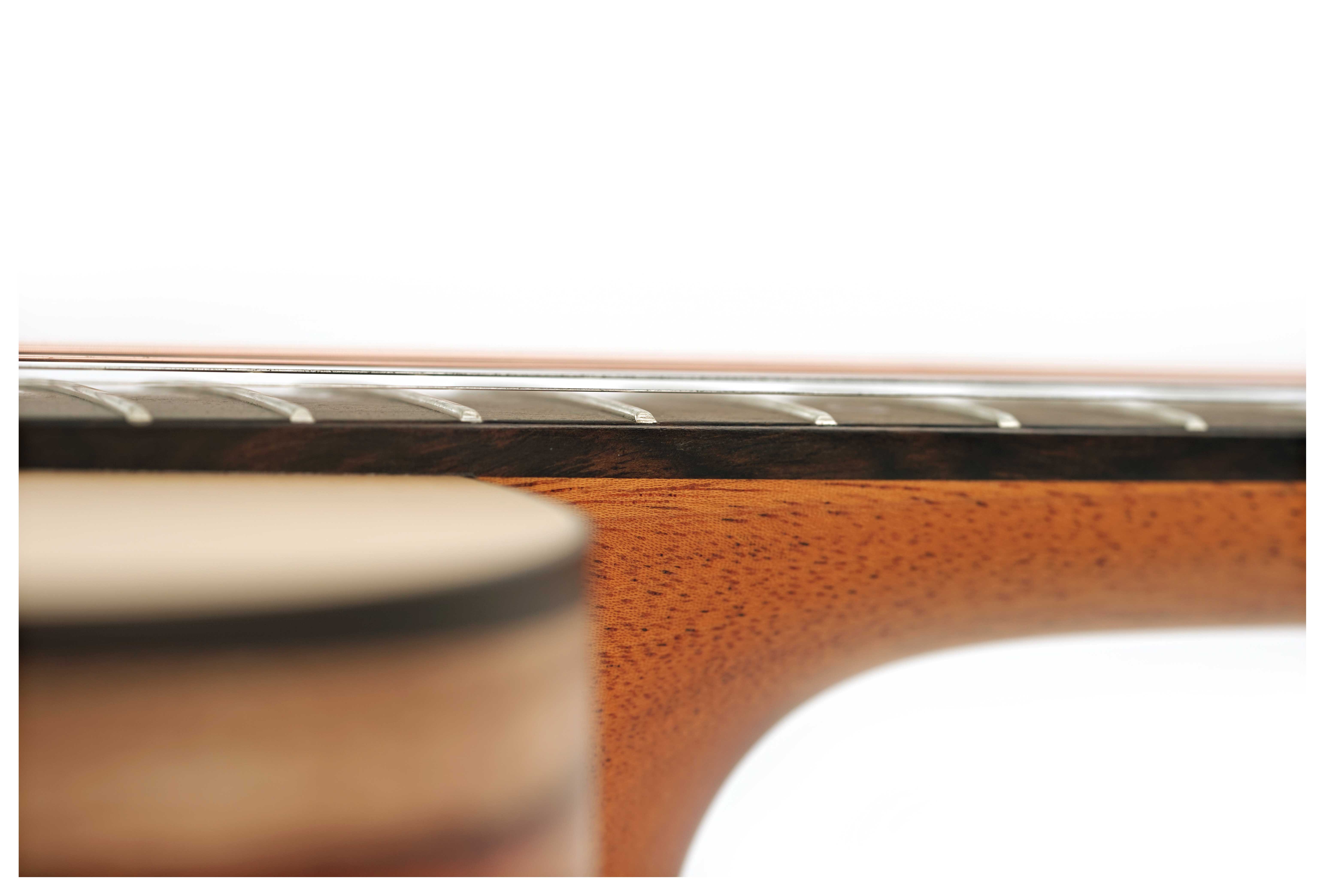 Fenech VT Auditorium AA Spruce/Camphor Laurel