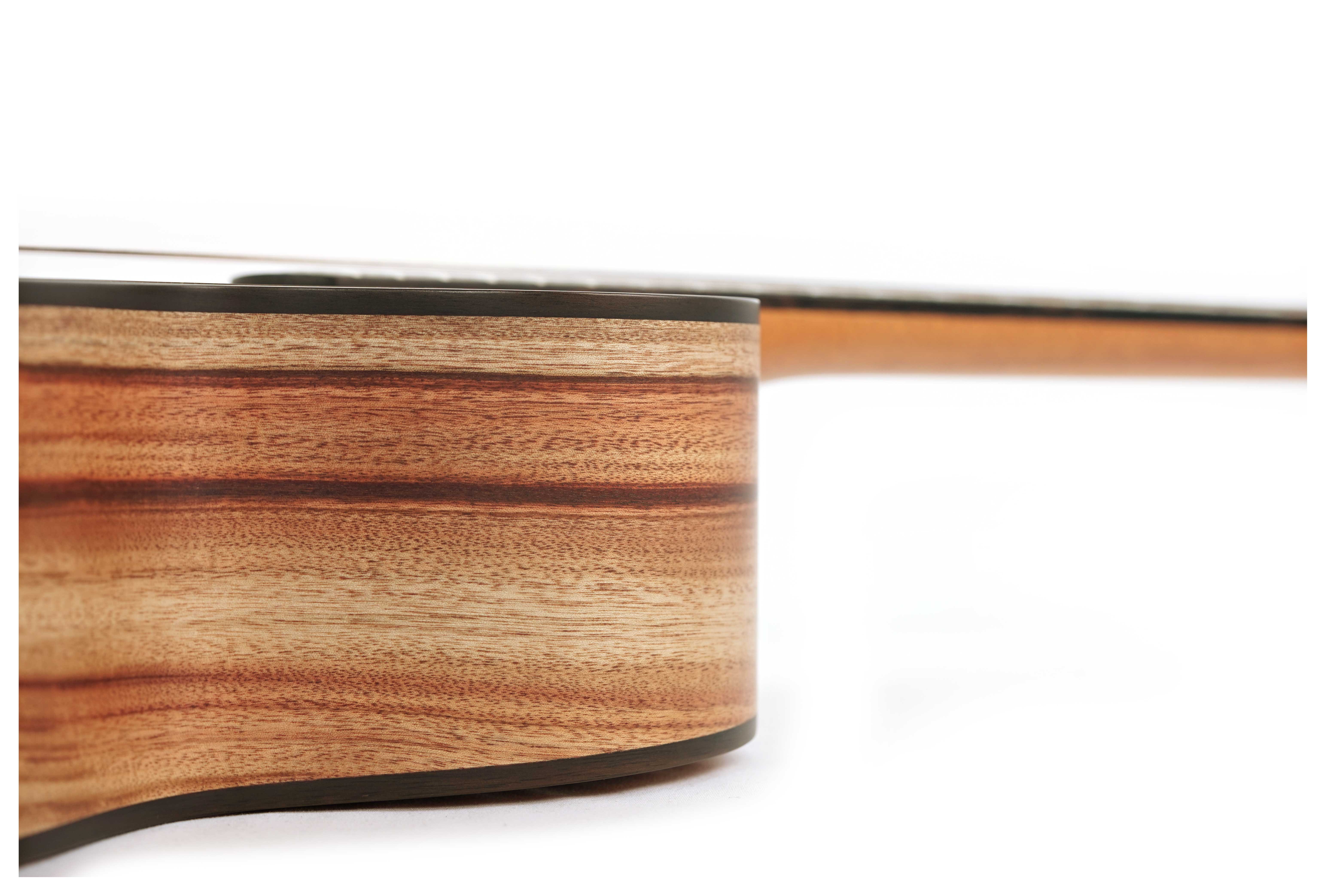 Fenech VT Auditorium AA Spruce/Camphor Laurel