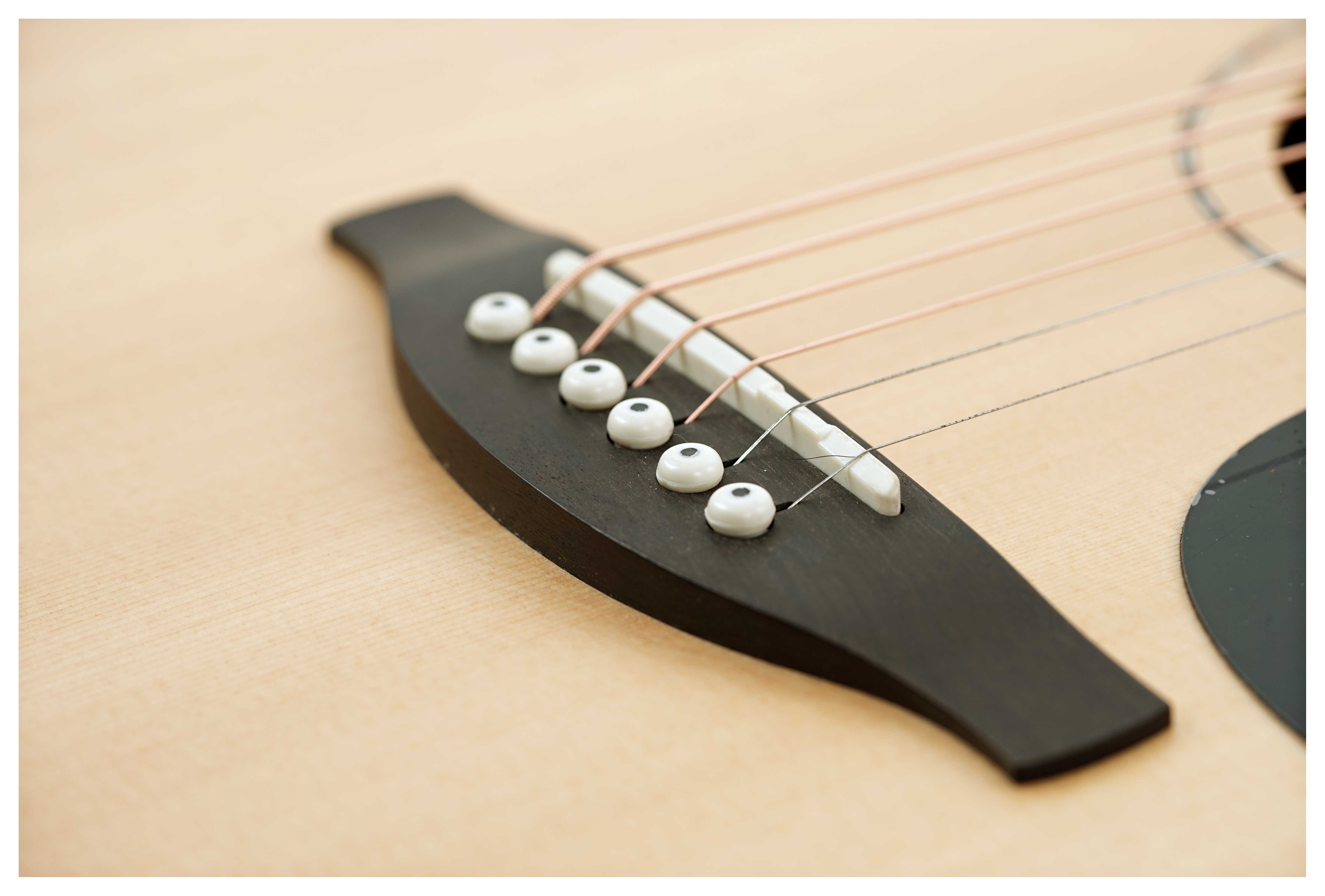 Fenech VT Auditorium AA Spruce/Camphor Laurel