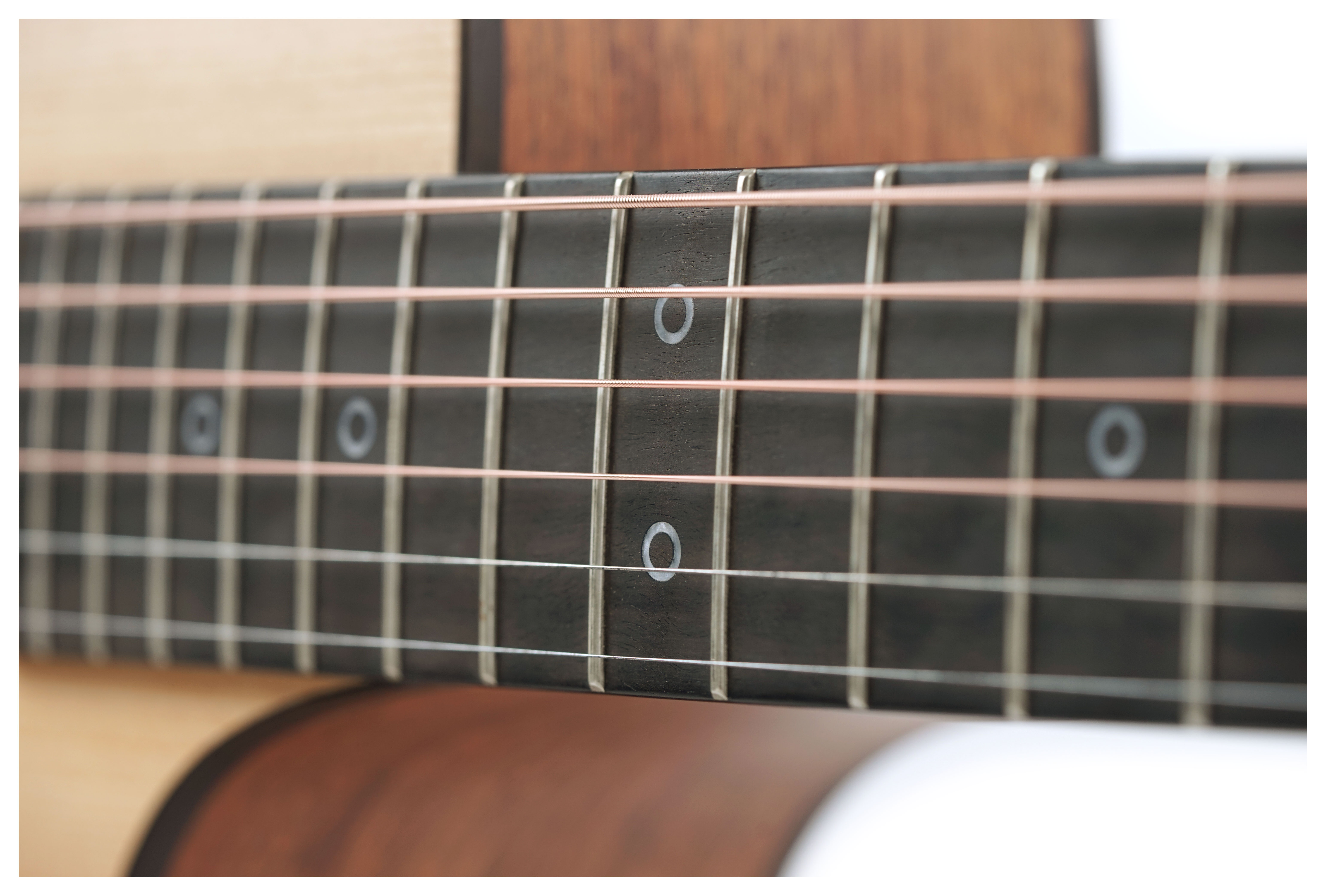 Fenech VT Dreadnought Cutaway AA Sitka Spruce/Blackwood