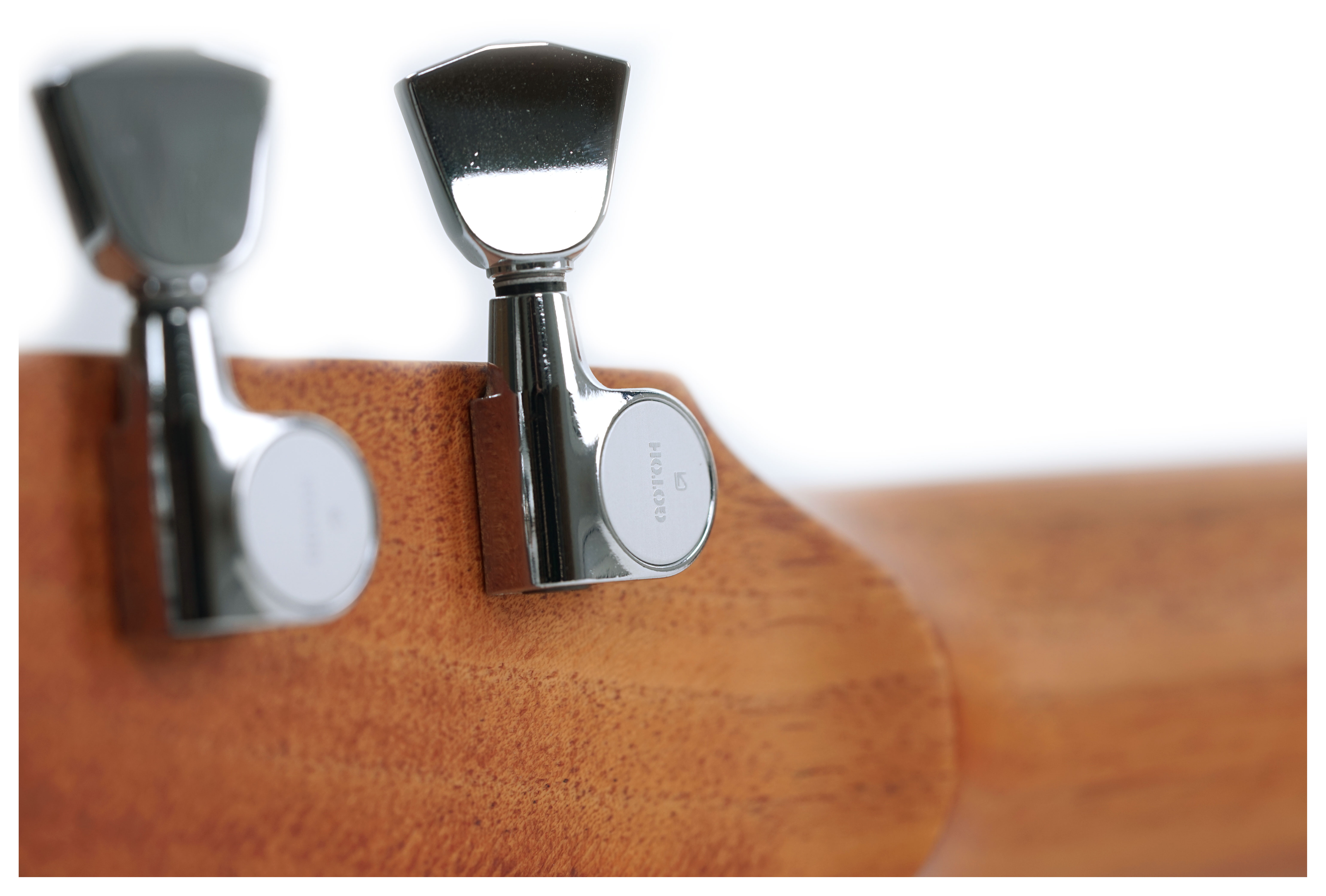 Fenech VT Dreadnought Cutaway AA Sitka Spruce/Blackwood