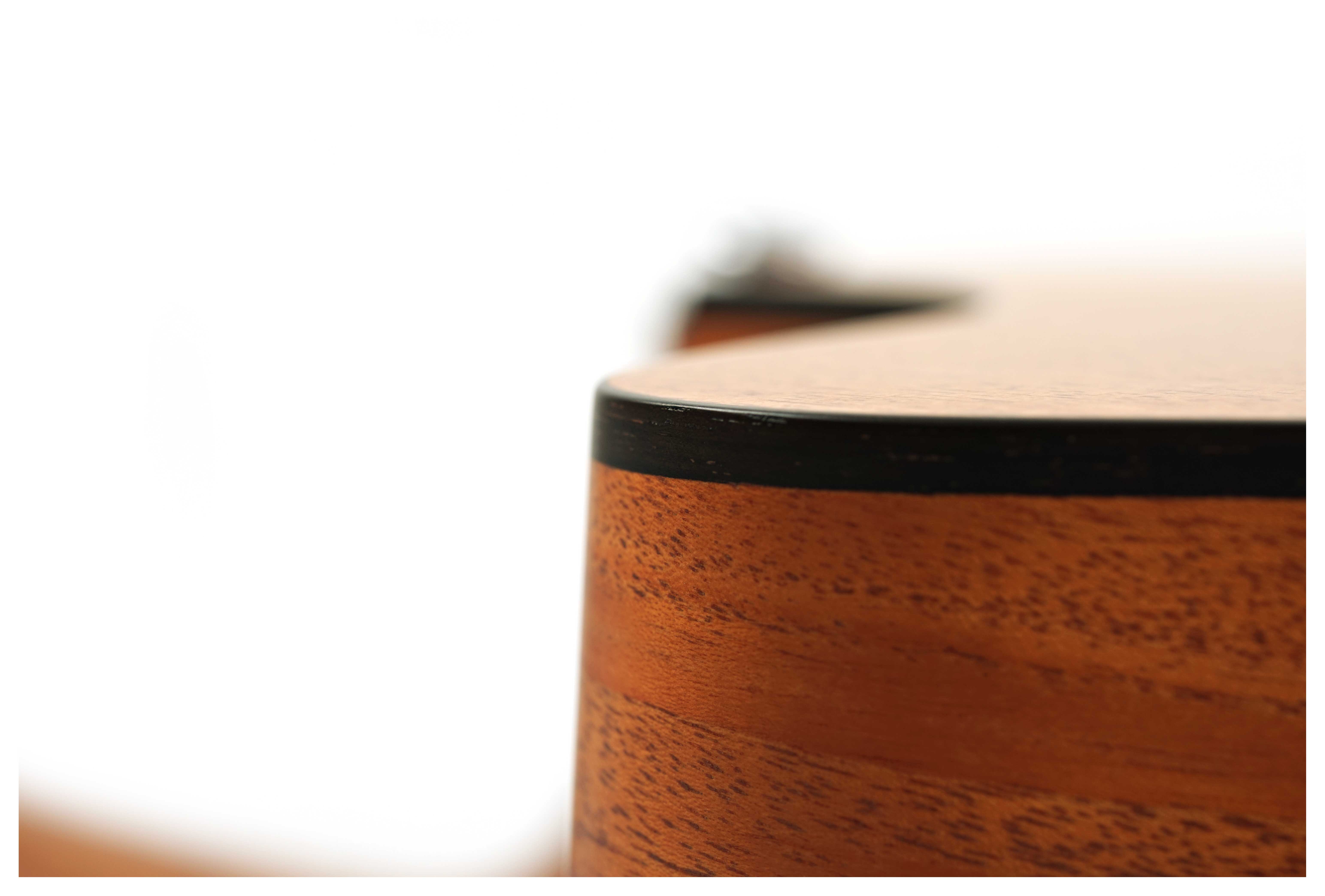 Fenech VTH Grand Auditorium Cutaway Mahogany 