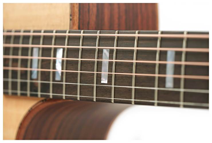 Fenech VTPR Dreadnought Cutaway AAA Spruce/AAA Rosewood Fenech VTPR Dreadnought Cutaway AAA Spruce/AAA Rosewood