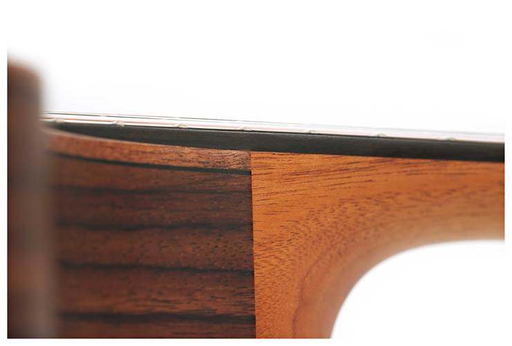 Fenech VTPR Dreadnought Cutaway AAA Spruce/AAA Rosewood Fenech VTPR Dreadnought Cutaway AAA Spruce/AAA Rosewood
