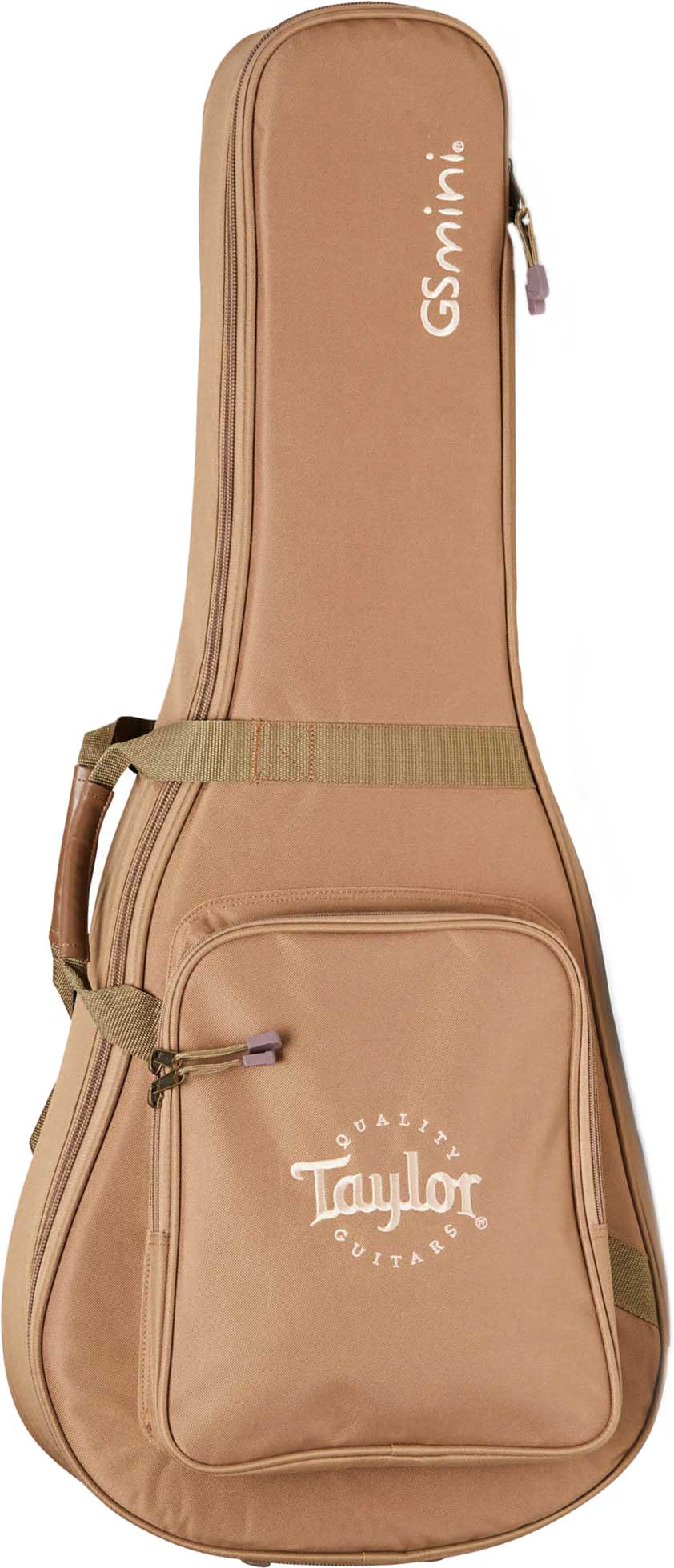 Taylor GS Mini Mahogany