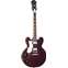 Epiphone Noel Gallagher Riviera Left Handed Front View