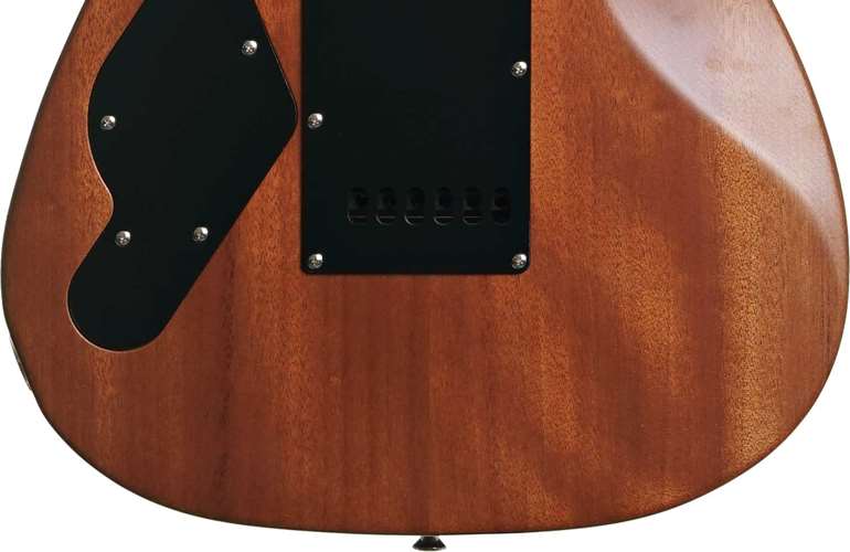 LSL Instruments XT 4 One Series Trans Dark Brown Satin Rosewood Fingerboard #6232 LSL Instruments XT 4 One Series Trans Dark Brown Satin Rosewood Fingerboard #6232