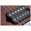 Music Man JP15 Sahara Burst Flame Maple Fingerboard #H06612 Front View