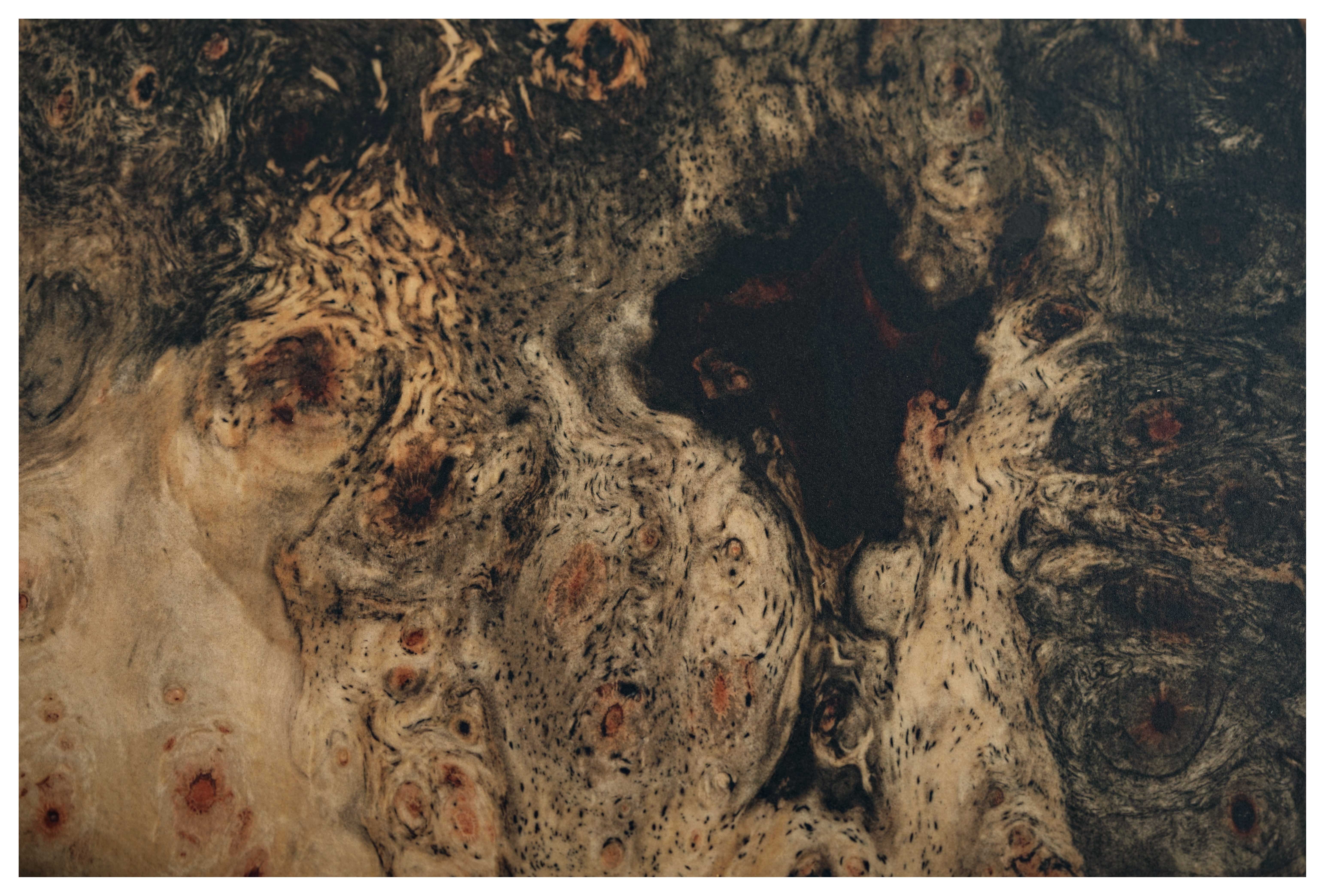 Music Man Cutlass HH Trem 7 Jason Richardson Burl Ebony Fingerboard #S12332