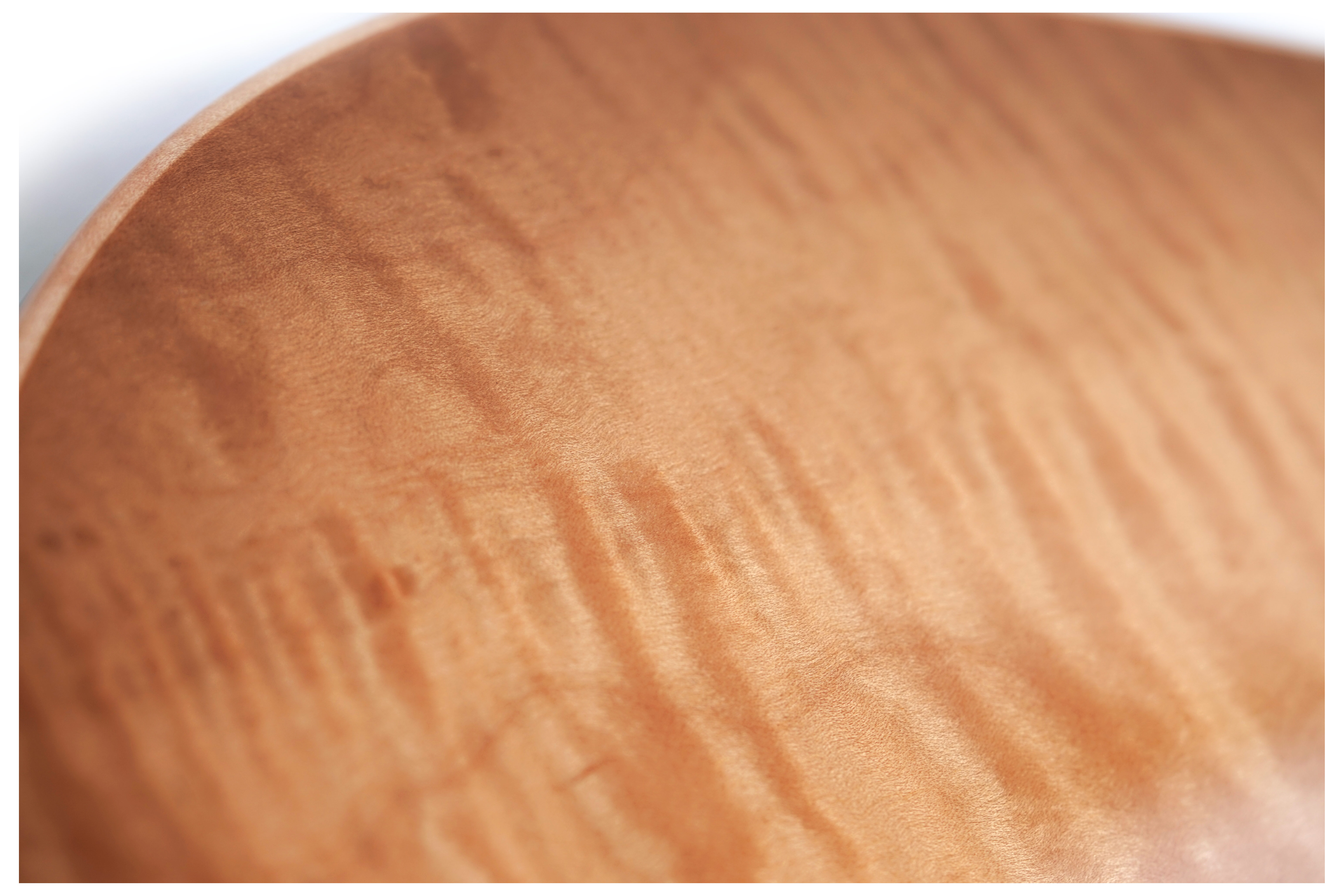 Music Man Sabre HH Trem Honey Suckle Maple Fingerboard #H09744