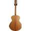 Fenech VT Auditorium AA Sitka Spruce/New Guinea Rosewood Back View