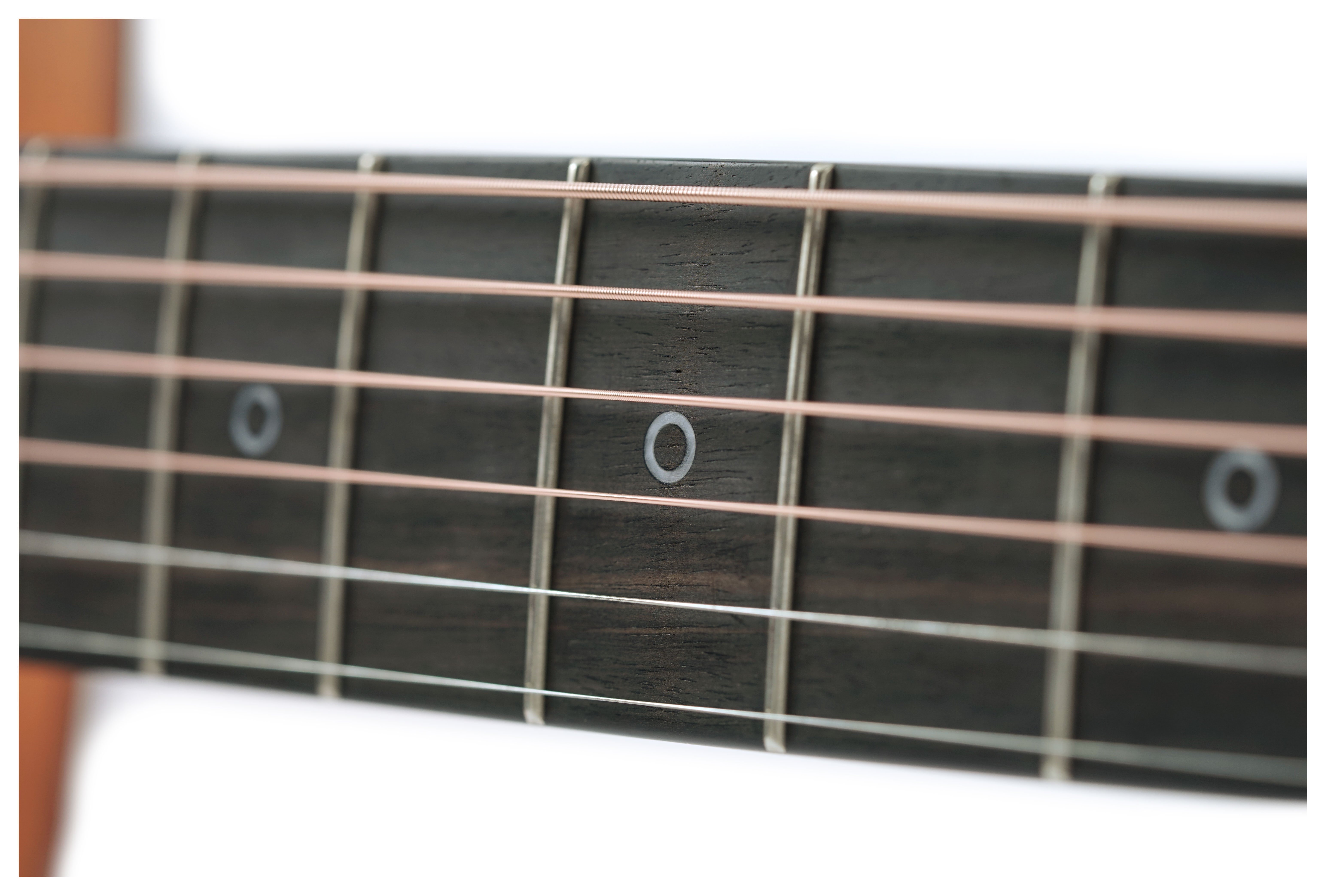 Fenech VT Auditorium AA Sitka Spruce/New Guinea Rosewood