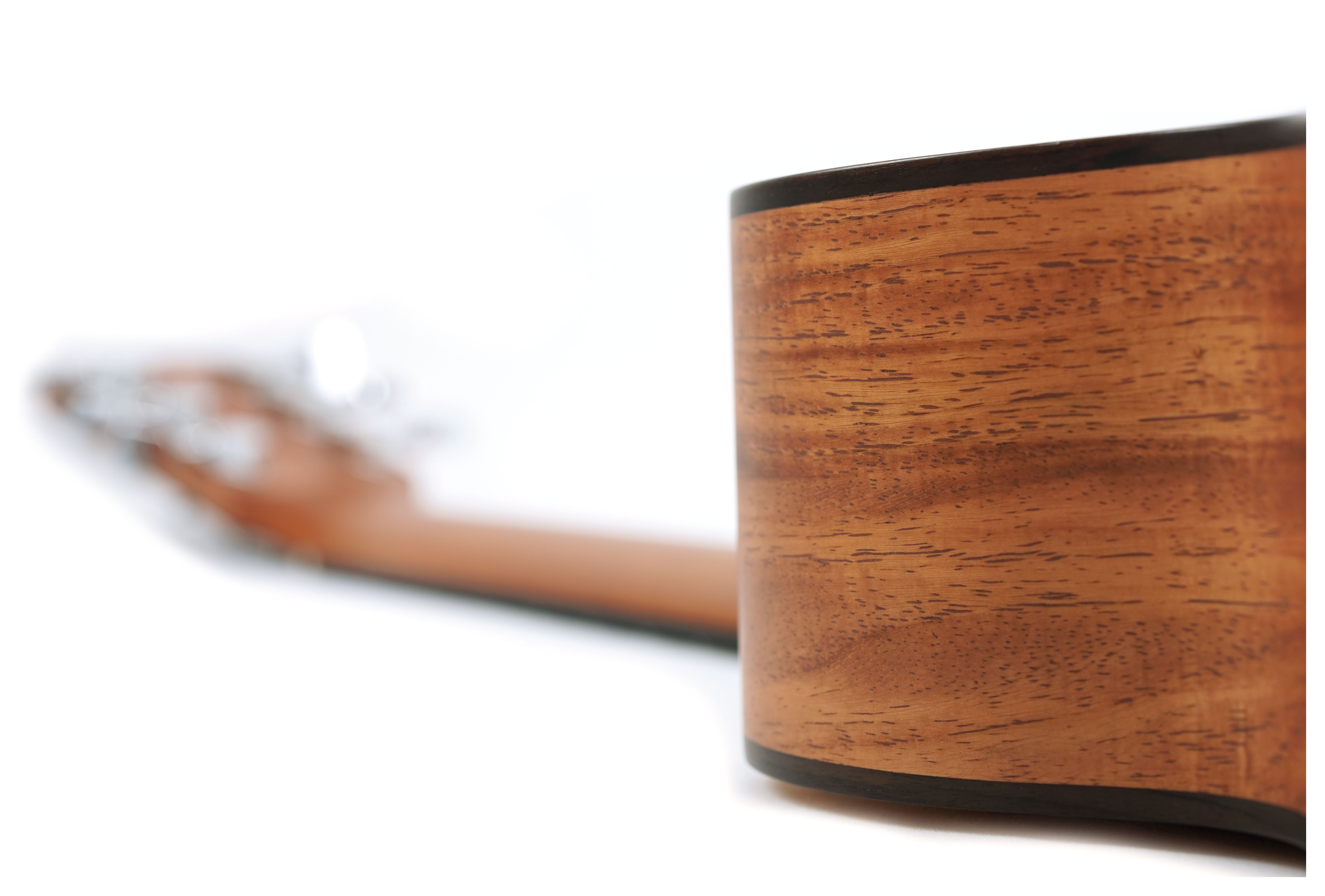 Fenech VT Auditorium AA Sitka Spruce/New Guinea Rosewood