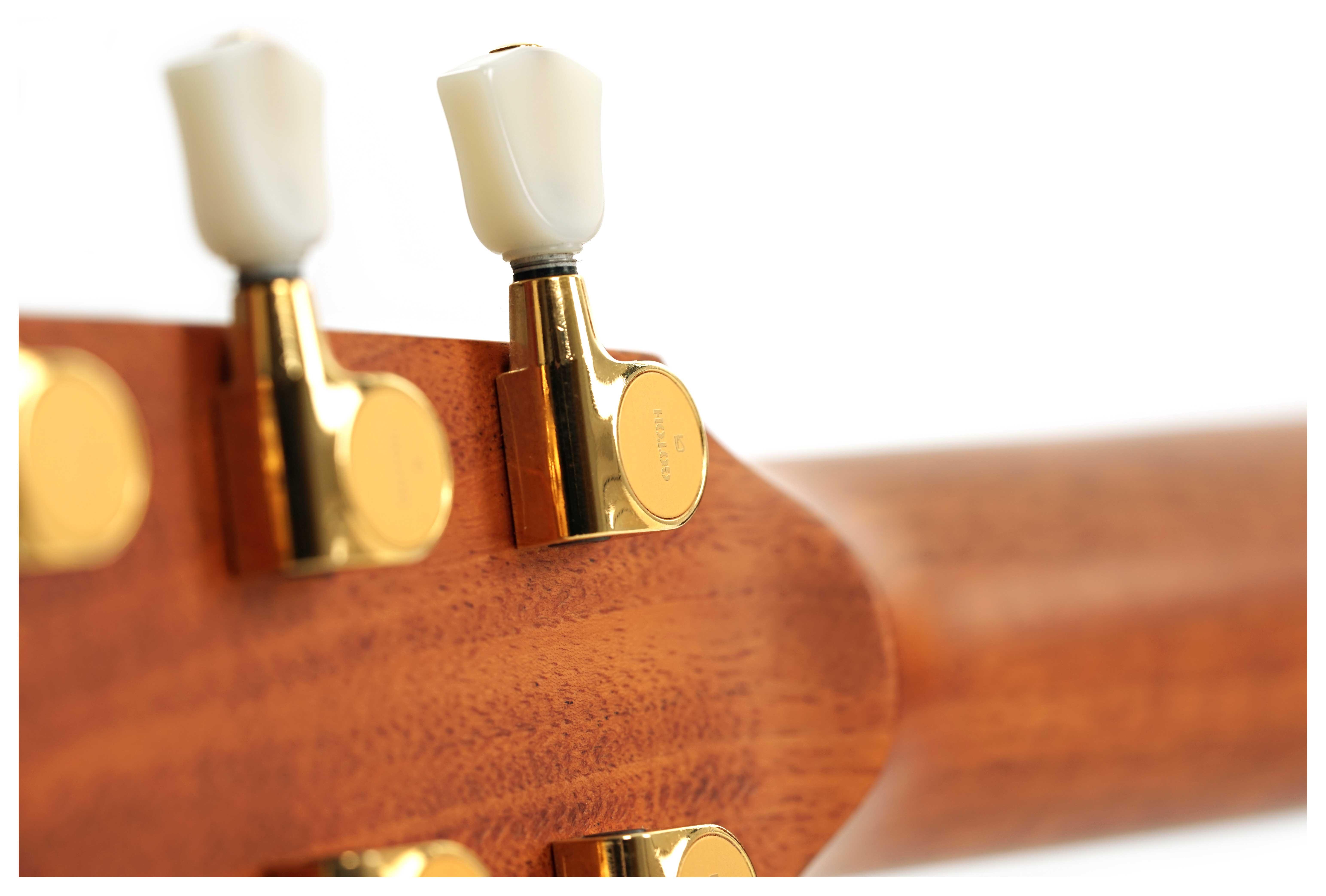 Fenech VTH Dreadnought Blackwood