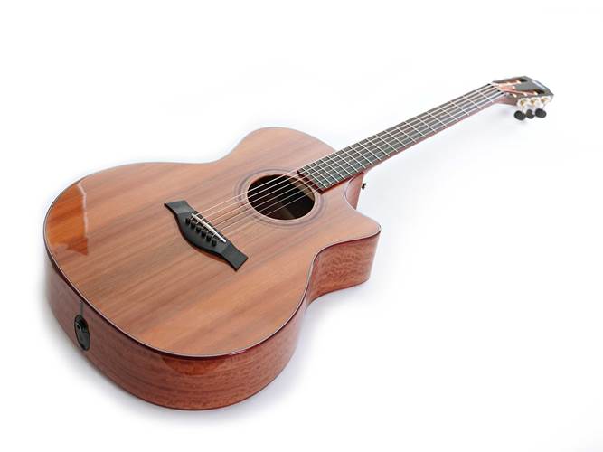 Taylor Custom Grand Auditorium Red Ironbark / Sinker Redwood Taylor Custom Grand Auditorium Red Ironbark / Sinker Redwood