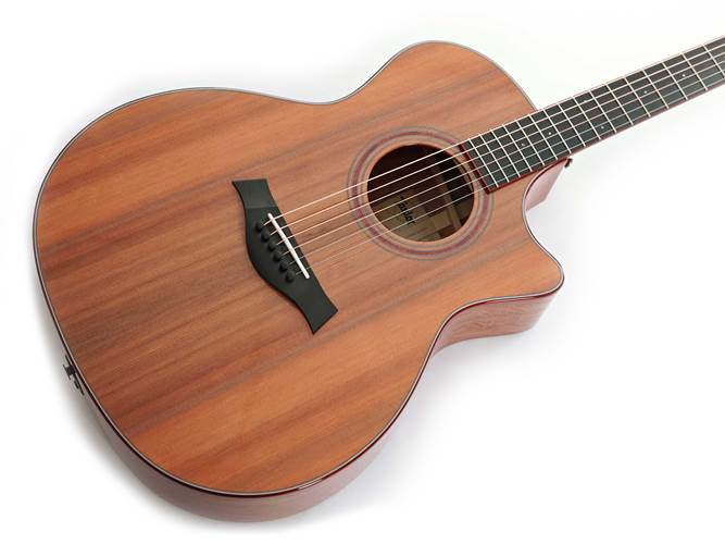 Taylor Custom Grand Auditorium Red Ironbark / Sinker Redwood Taylor Custom Grand Auditorium Red Ironbark / Sinker Redwood